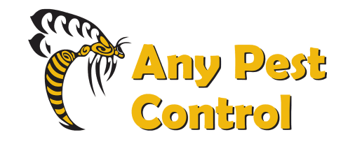 Any Pest Control – Brisbane QLD