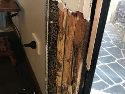 Termite Damage in the frame of a door